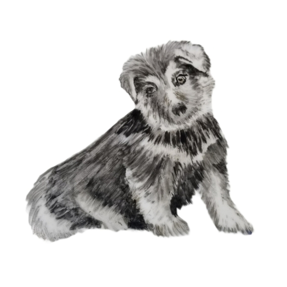 Porcelain? 8Inch Plate Signed Dog Sketch Portrait - Picture 8 of 16